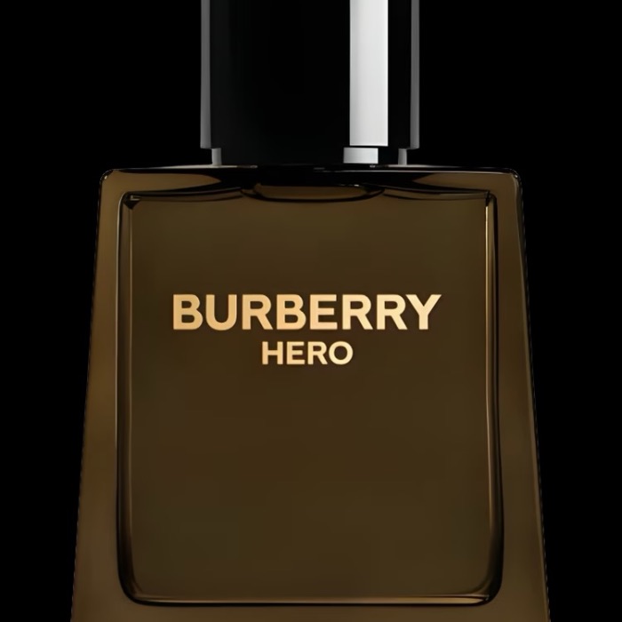 BURBERRY HERO — parfum inspiré homme