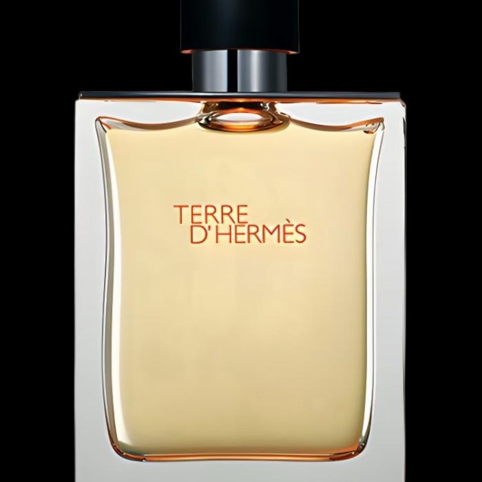 HERMÈS TERRE D'HERMÈS — parfum inspiré homme